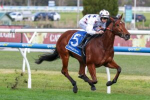 2026 Moir Stakes Field & Betting Update: Punters Fling Money at Natural Filly