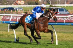 Beiwacht Wins Memsie Stakes 2025, Beats Mr Brightside and Cosmic Crusader