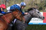 2026 Moir Stakes Winner My Gladiola Secures First Group 1
