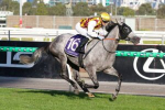 Emergency Entry Accidental Bid Favoured to Secure 2026 South Australian Derby