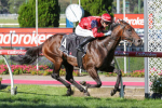 2025 William Reid Stakes Results: Schwarz Beats Benedetta, Jimmysstar Third