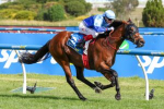 Tropicus Dominates: Freedmans’ Sprinter Claims Maiden Group 1 in Oakleigh Plate