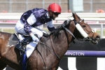 2020 Melbourne Cup Winner: Twilight Payment Salutes at 26-1