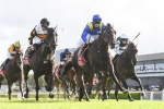 2025 Canterbury Stakes Winner is Royal Patronage at $20!