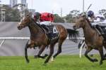 Ninja Backed to Overcome Horror Draw in 2026 Magic Millions 3YO Guineas
