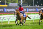 Airborne Apocalyptic Dominates Flight Stakes, Now Thousand Guineas Favourite