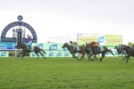 Victorian Raider Guest House Stuns Rivals in 2026 Golden Slipper