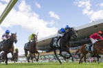Photo Finish Thriller: Belle Cheval Snatches 2026 Vinery Stud Stakes