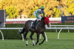 Wide-Open Tattersall’s Tiara Field Set to Conclude G1 Season at Eagle Farm