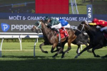 Stable Shocker: Fireball Ignites to Topple Campione D’italia in Champagne Stakes 2026 Results