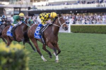 Autumn Glow Wins Winx Stakes 2026, Firms in The Everest Betting
