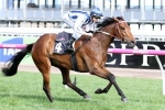 Amelie’s Star Into Melbourne Cup With The Bart Cummings Win