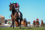 Antino Heads 2025 Doomben Cup Field & Odds
