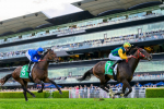 Ceolwulf Soars to 2024 Epsom Handicap Win, Promising Spring Campaign Ahead