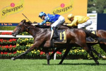 Maher Aims for Sydney Cup 2024 Double with Circle of Fire