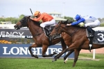 2020 George Ryder Stakes Results: Dreamforce Triumphs Over the Shark for First Group 1 Win