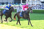 Fangirl Favourite in 2025 George Ryder Stakes Field & Odds