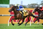 2021 Sydney Cup Odds Firm on Favorite Moon