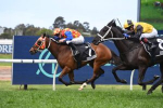 Tattersall’s Tiara 2025 Field & Odds: Firestorm v Floozie