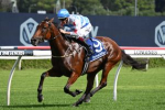 Doncaster Mile 2022 Field & Betting Update: Forbidden Love Narrow Favourite