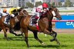 Injury plagued Hay List out of Autumn Carnival