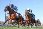 McEvoy Dynasty Confirmed: Half Yours Dominates Caulfield Cup 2025 Results