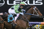 Incentivise Next Race: 2021 Turnbull Stakes Field & Betting Update