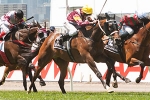 Southern Speed out, Kelinni in final 2012 Melbourne Cup field