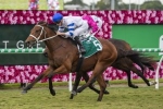 Baccarat Baby early favourite for 2019 Sunshine Coast Guineas