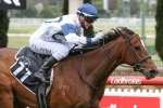 2020 Moonee Valley Gold Cup Winner Miami Bound Enters Melbourne Cup Calculations