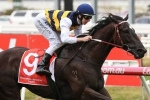 Night’s Watch Into Caulfield Cup With Naturalism Stakes Win