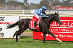 2024 Melbourne Cup Tips: A Deep Dive into the Field