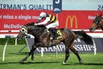 Sydney Cup Up Next for Chairman’s Quality Winner Quick Thinker
