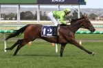 2021 Adelaide Cup Field & Odds: Tralee Rose The One to Beat