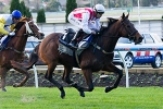 Rekindled Interest to get back on track at Moonee Valley