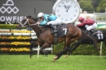 Global Quest Recovering From Slight Setback Prior To Golden Slipper