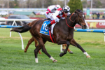 Sepals Shoots for 2025 Toorak Handicap Glory in Hat-Trick Bid
