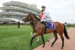 The Everest Next for Sunlight Following Gilgai Stakes Triumph