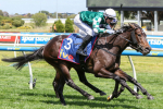 VRC Oaks 2024: Treasurethe Moment Leads Open Field at Flemington on Thursday