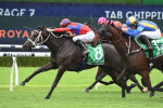 2022 Chipping Norton Stakes Winner: Verry Elleegant Defends Crown, Wins 11th Group 1