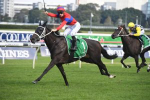 2021 George Main Stakes Field & Betting: Verry Elleegant Favourite