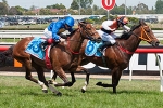 Change of luck saw Whateverwhenever take out Moonga Stakes