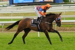 Sniper’s Bullet’s Winter Test For Emirates Stakes