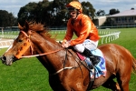 Toorak Toff Given The Go Ahead For Brisbane Campaign