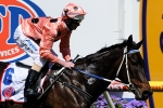 Black Caviar Tries For 10 In A Row