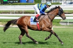 Moudre On Melbourne Cup Mission