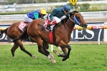 Satin Shoes To Challenge Sepoy In Battle Of Speed