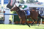 Wealth Princess and Walker to be reunited in Dane Ripper