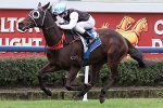 Racing Heart Takes Final Steps Towards Sydney Spring