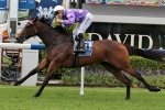 Waterhouse has strong contingent in Thousand Guineas nominations